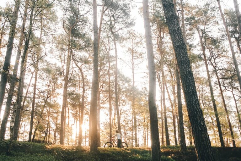 PixelPanda Review: AI Product Photography for E-commerce Brands